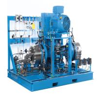 Hydrogen Gas Compressor
