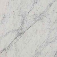 Indian Marble Image