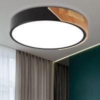 Indoor Ceiling Lights