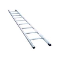 Industrial Single Ladder