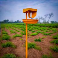 Innovac Solar Insect Trap