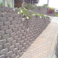 Interlocking Wall Bricks