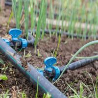 Irrigation Pipe Plumbing