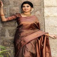 Jacquard Embellished Saree
