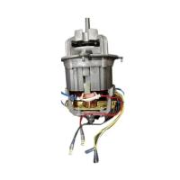 Juicer Mixer Motor