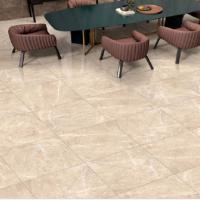 Modern Kajaria Tiles