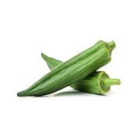 Excellent Quality Fresh Lady Finger Price Online Exporter