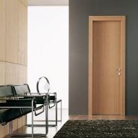 Laminate Flush Door