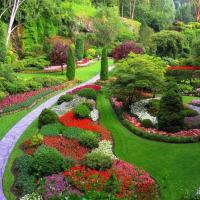 Landscape Contracting Service