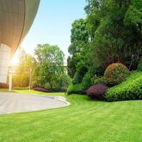 Landscaping Commercial Services