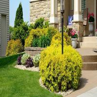 Landscaping Corporate Contractors Image
