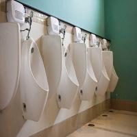 Large Ceramic Urinal Image