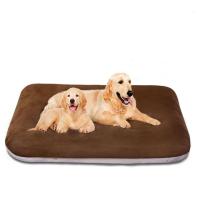 Large Dog Bed