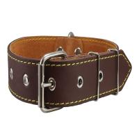 Leather Pet Collar
