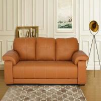 Leather Wood Sofa Set