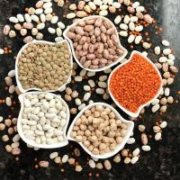 Legume And Lentil