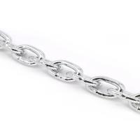 Long Iron Chain Image