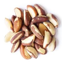 Loose Brazil Nut Seed