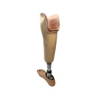 Lower Limb Prosthesis