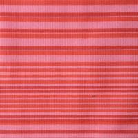 Lycra Strip Print Fabric