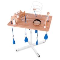 Manual Exercise Table