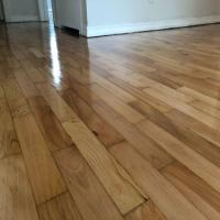 Maple Wooden Flooring Image