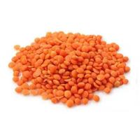 Buy Healthy Masoor Dal Contains Nourishing Factors