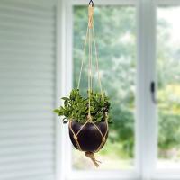 Metal Hanging Pot