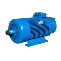 Metallurgy Crane Motor