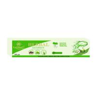 Mint Ayurvedic Toothpaste Image