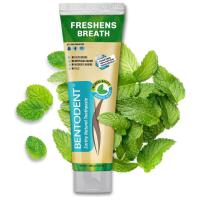 Mint Ayurvedic Toothpaste