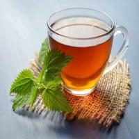 Fresh Herbal Mint Tea Health Benefits, Weight Loss