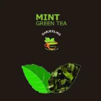Fresh Herbal Mint Tea Health Benefits, Weight Loss