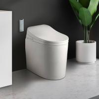 modern day bidet Image