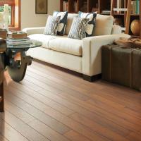 Modern Laminate Flooring