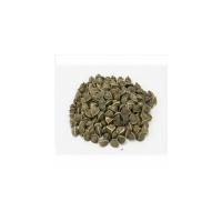 Moringa Seeds