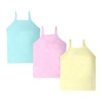 Multi Color Ladies Slips