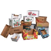 Multicolor Corrugated Carton, Printed surface coating