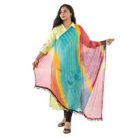 Multicolor Womens Dupattas Image