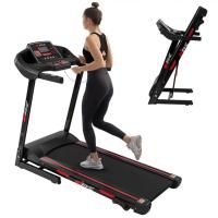 Multifunctional Electric Treadmill