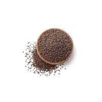Mustard Brown Seed