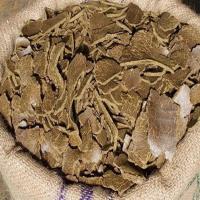 Mustard Cattle Poultry Food 