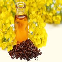 Mustard Refined Oil