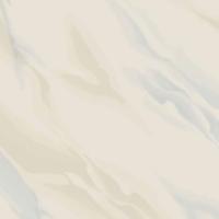 Nano Vitrified Tiles