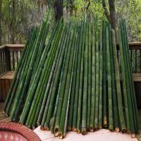 Natural Bamboo Sticks, Easy to install, many sizes