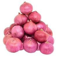 Natural Fresh Onion