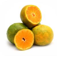 Natural Fresh Orange Image