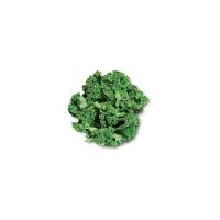 Natural Green Fresh Kale