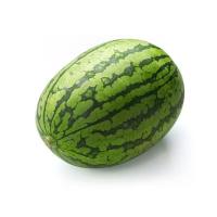 Natural Green Watermelon