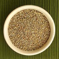 Natural Pearl Millet